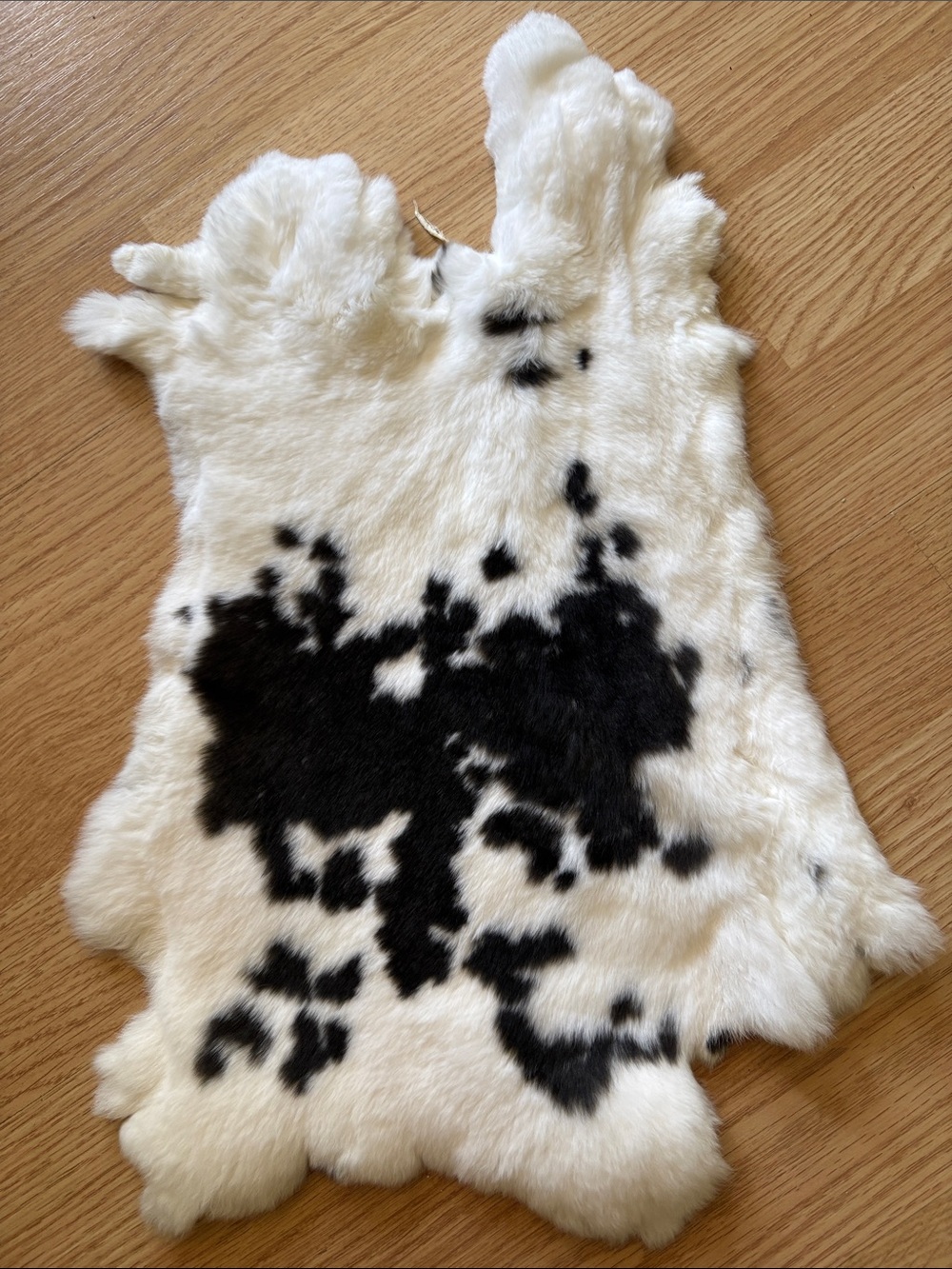 C0044 Rex rabbit hide craft supply